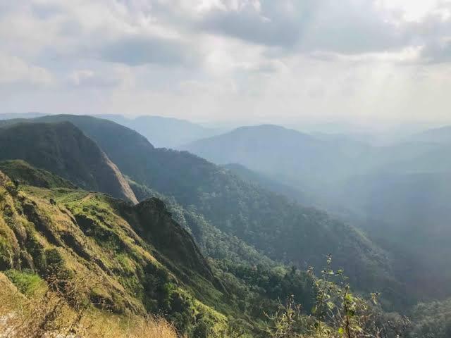 The Heritage Home Kasauli I Pine View Serviced Villa I Best Seller I Vacations I Family Events I Sky Bonfire I Kasauli By Exotic Stays Dış mekan fotoğraf