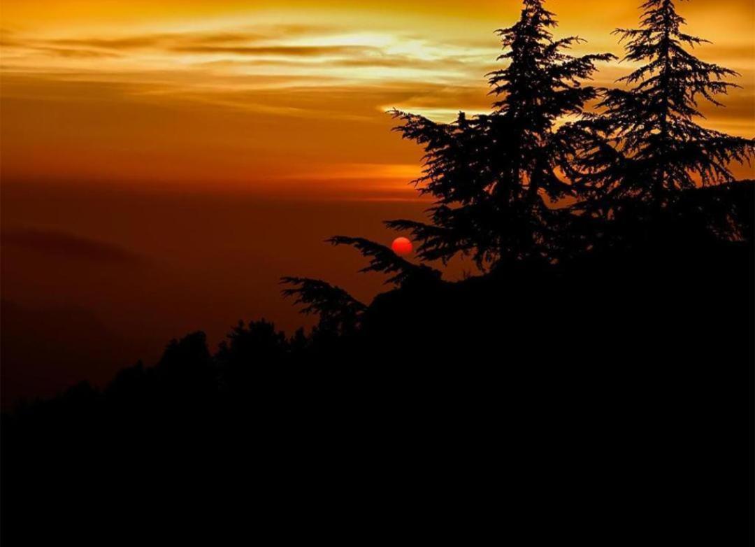 The Heritage Home Kasauli I Pine View Serviced Villa I Best Seller I Vacations I Family Events I Sky Bonfire I Kasauli By Exotic Stays Dış mekan fotoğraf