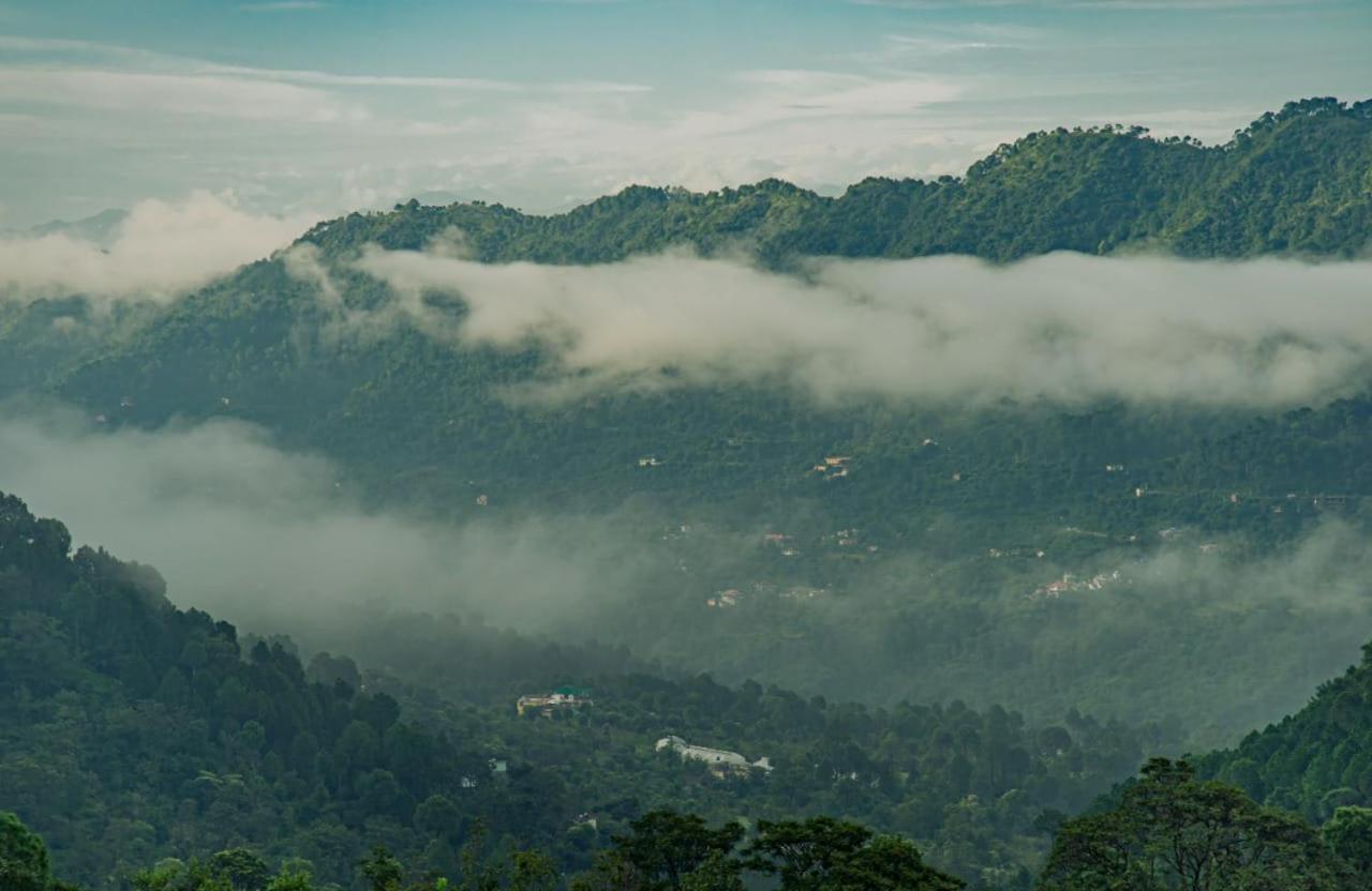 The Heritage Home Kasauli I Pine View Serviced Villa I Best Seller I Vacations I Family Events I Sky Bonfire I Kasauli By Exotic Stays Dış mekan fotoğraf